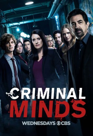 Tâm Lý Tội Phạm (Phần 13) - Criminal Minds (Season 13) (2017)